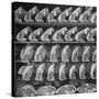 Cuts of Beef on Shelves at Meat Processing and Packing Plant-Alfred Eisenstaedt-Stretched Canvas