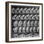 Cuts of Beef on Shelves at Meat Processing and Packing Plant-Alfred Eisenstaedt-Framed Photographic Print