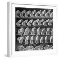 Cuts of Beef on Shelves at Meat Processing and Packing Plant-Alfred Eisenstaedt-Framed Photographic Print