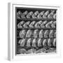 Cuts of Beef on Shelves at Meat Processing and Packing Plant-Alfred Eisenstaedt-Framed Photographic Print