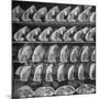 Cuts of Beef on Shelves at Meat Processing and Packing Plant-Alfred Eisenstaedt-Mounted Photographic Print