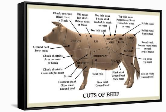 Cuts of Beef-Take 27 LTD-Framed Stretched Canvas