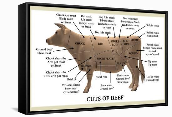 Cuts of Beef-Take 27 LTD-Framed Stretched Canvas