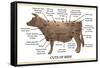 Cuts of Beef-Take 27 LTD-Framed Stretched Canvas