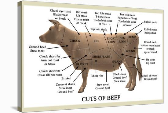 Cuts of Beef-Take 27 LTD-Stretched Canvas