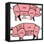 Cuts of Pork - American & British-ciuciumama-Framed Stretched Canvas