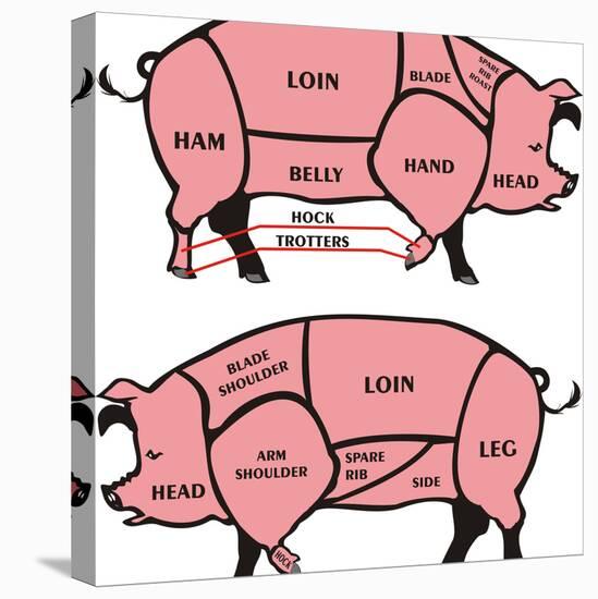 Cuts of Pork - American & British-ciuciumama-Stretched Canvas