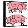 Cuts of Pork - American & British-ciuciumama-Framed Stretched Canvas