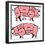 Cuts of Pork - American & British-ciuciumama-Framed Premium Giclee Print