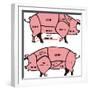 Cuts of Pork - American & British-ciuciumama-Framed Premium Giclee Print