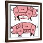 Cuts of Pork - American & British-ciuciumama-Framed Art Print