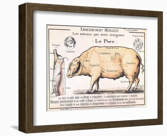 Cuts of Pork, illustration from a French Domestic Science Manual by H. de Puytorac, 19th century-null-Framed Giclee Print