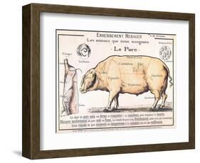 Cuts of Pork, illustration from a French Domestic Science Manual by H. de Puytorac, 19th century-null-Framed Giclee Print