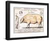 Cuts of Pork, illustration from a French Domestic Science Manual by H. de Puytorac, 19th century-null-Framed Giclee Print