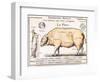 Cuts of Pork, illustration from a French Domestic Science Manual by H. de Puytorac, 19th century-null-Framed Giclee Print