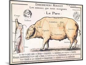 Cuts of Pork, illustration from a French Domestic Science Manual by H. de Puytorac, 19th century-null-Mounted Giclee Print