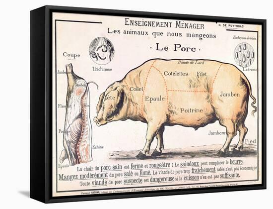 Cuts of Pork, illustration from a French Domestic Science Manual by H. de Puytorac, 19th century-null-Framed Stretched Canvas