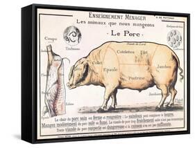 Cuts of Pork, illustration from a French Domestic Science Manual by H. de Puytorac, 19th century-null-Framed Stretched Canvas