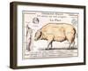 Cuts of Pork, illustration from a French Domestic Science Manual by H. de Puytorac, 19th century-null-Framed Giclee Print