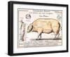 Cuts of Pork, illustration from a French Domestic Science Manual by H. de Puytorac, 19th century-null-Framed Giclee Print