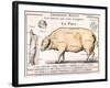Cuts of Pork, illustration from a French Domestic Science Manual by H. de Puytorac, 19th century-null-Framed Giclee Print