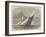 Cutter Match of the Royal London Yacht Club-Edwin Weedon-Framed Giclee Print