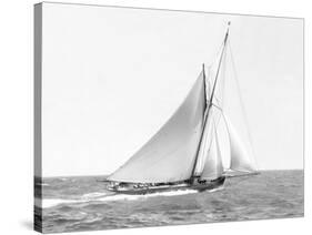 Cutter sailing on the ocean, 1910-null-Stretched Canvas