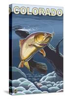 Cutthroat Trout Fishing - Colorado-Lantern Press-Stretched Canvas