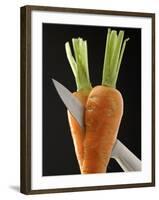 Cutting a Carrot in Half with a Knife-Vladimir Shulevsky-Framed Photographic Print