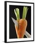 Cutting a Carrot in Half with a Knife-Vladimir Shulevsky-Framed Photographic Print