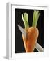 Cutting a Carrot in Half with a Knife-Vladimir Shulevsky-Framed Photographic Print