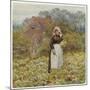 Cutting Cabbages, Allingh-Helen Allingham-Mounted Art Print