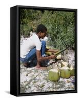 Cutting Coconuts, Barbuda-null-Framed Stretched Canvas