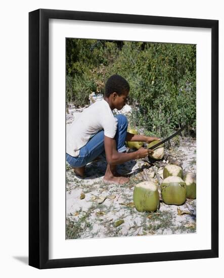 Cutting Coconuts, Barbuda-null-Framed Premium Photographic Print