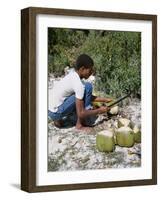 Cutting Coconuts, Barbuda-null-Framed Photographic Print