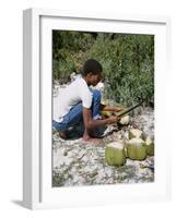 Cutting Coconuts, Barbuda-null-Framed Photographic Print