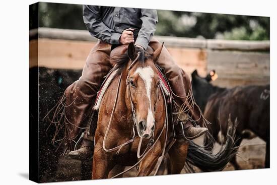 Cutting Horse-Lisa Dearing-Stretched Canvas