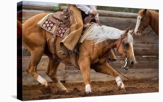 Cutting Horses-Lisa Dearing-Stretched Canvas