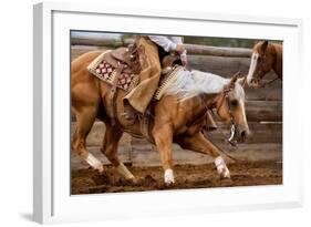 Cutting Horses-Lisa Dearing-Framed Photographic Print