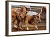 Cutting Horses-Lisa Dearing-Framed Photographic Print