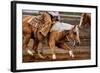 Cutting Horses-Lisa Dearing-Framed Photographic Print