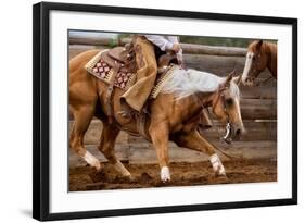 Cutting Horses-Lisa Dearing-Framed Photographic Print