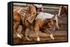 Cutting Horses-Lisa Dearing-Framed Stretched Canvas