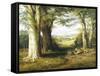 Cutting Logs, Windsor Park-Ralph W. Lucas-Framed Stretched Canvas