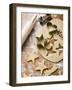 Cutting Out Heart-Shaped and Star-Shaped Biscuits-null-Framed Photographic Print