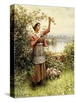 Cutting Roses Along the Seine-Daniel Ridgway Knight-Stretched Canvas