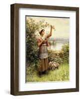 Cutting Roses Along the Seine-Daniel Ridgway Knight-Framed Giclee Print