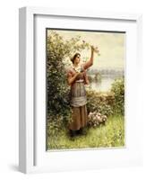 Cutting Roses Along the Seine-Daniel Ridgway Knight-Framed Giclee Print