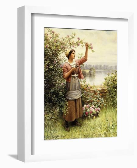 Cutting Roses Along the Seine-Daniel Ridgway Knight-Framed Giclee Print