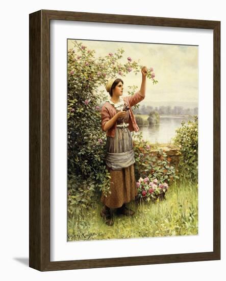 Cutting Roses Along the Seine-Daniel Ridgway Knight-Framed Giclee Print